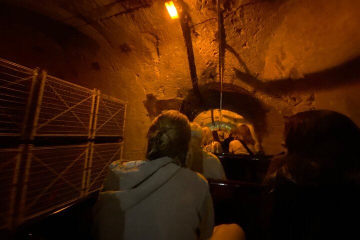 Champagne Day Trip from Paris: Mercier Cellar Train, Dom Caudron, Verzenay Vineyard Picnic (12/12)