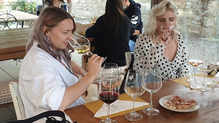 Five-Hour Chianti Sunset Tour from Florence with Driver and Two Tastings at a Family Farm (1/11)