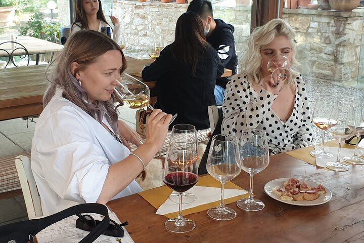 Five-Hour Chianti Sunset Tour from Florence with Driver and Two Tastings at a Family Farm (1/11)