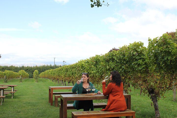 Full-Day Small-Group Marlborough Wine Tour from Blenheim with Winery Lunch (5/9)