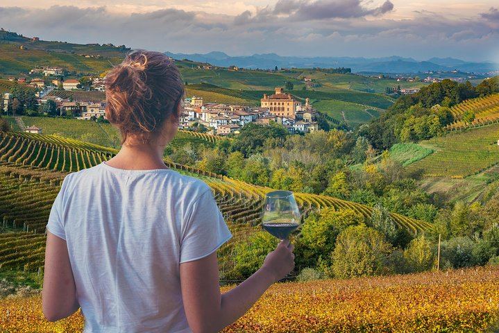 Langhe Wine Day Trip from Turin by Van: Alta Langa Cellar, Village Lunch, Barolo Tasting (6/12)