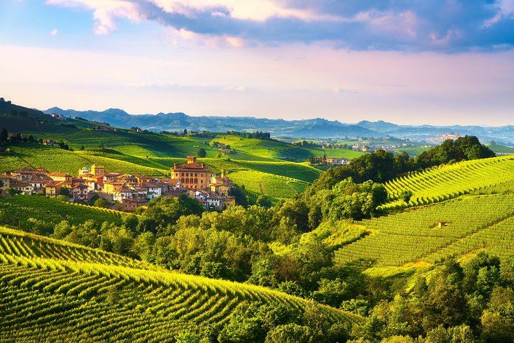 Langhe Wine Day Trip from Turin by Van: Alta Langa Cellar, Village Lunch, Barolo Tasting (8/12)