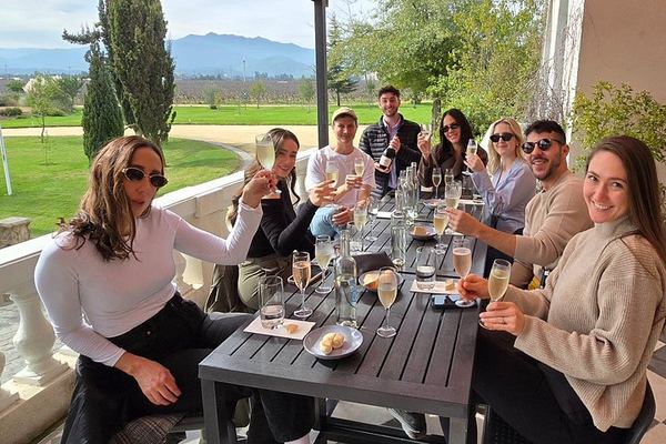 Small-Group Valparaiso Hills Walk with Veramonte Organic and Viñamar Wine Tastings