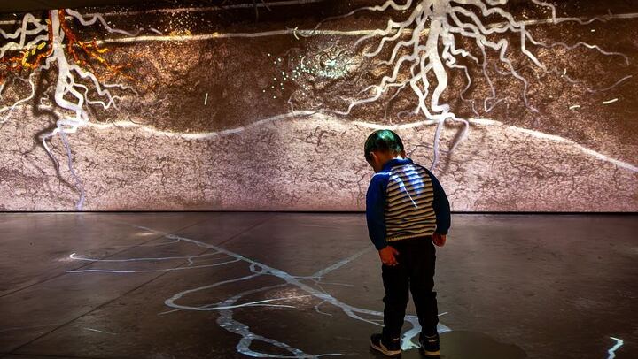 Pressoria Entrance Ticket in Aÿ-Champagne with Interactive Visit and Champagne Tasting (2/9)