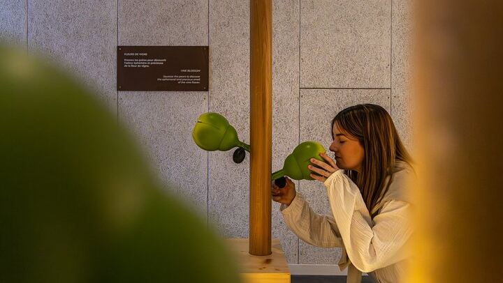 Pressoria Entrance Ticket in Aÿ-Champagne with Interactive Visit and Champagne Tasting (3/9)