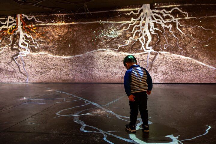 Pressoria Entrance Ticket in Aÿ-Champagne with Interactive Visit and Champagne Tasting (2/9)