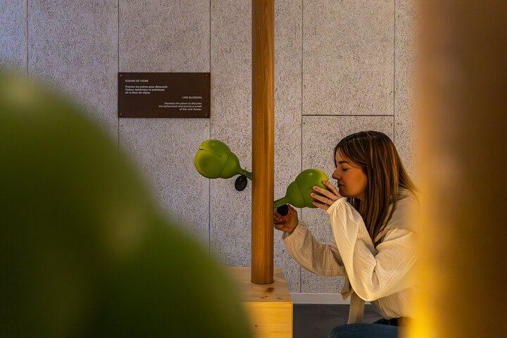 Pressoria Entrance Ticket in Aÿ-Champagne with Interactive Visit and Champagne Tasting (3/9)