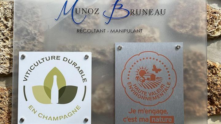 Half-Day Van Visit to Munoz Bruneau Family Champagne Estate, Épernay Pickup (1/12)