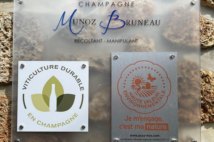 Half-Day Van Visit to Munoz Bruneau Family Champagne Estate, Épernay Pickup (1/12)