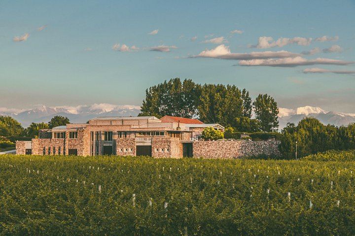 Uco Valley Luxury Wine Day: Salentein, Michelini i Mufatto and Andeluna Lunch (9/12)