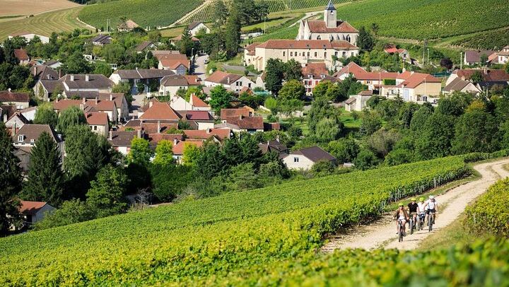 Private Champagne Day from Paris: Moët & Chandon Cellars, Pommery or Veuve Clicquot, Reims (2/6)