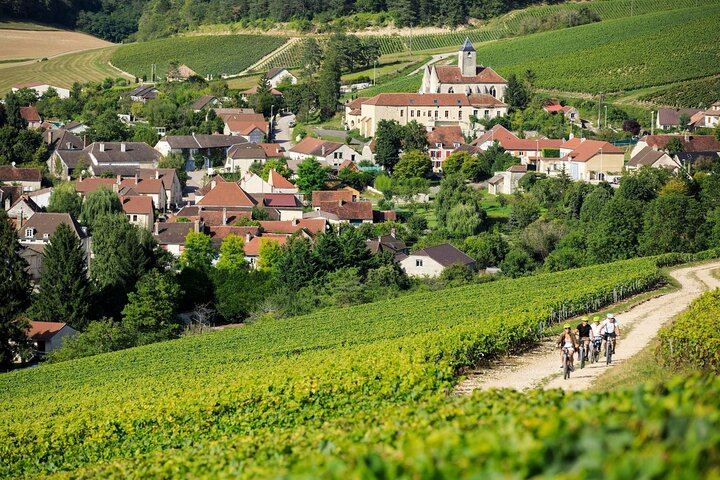 Private Half Day from Paris to Ruinart, the Oldest Champagne House, with Reims Cathedral (5/8)
