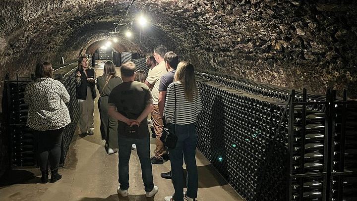 Épernay South Half-Day Tour: Voirin-Jumel in Cramant, Jean Milan in Oger, Hautvillers (4/12)