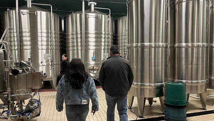 Épernay South Half-Day Tour: Voirin-Jumel in Cramant, Jean Milan in Oger, Hautvillers (3/12)