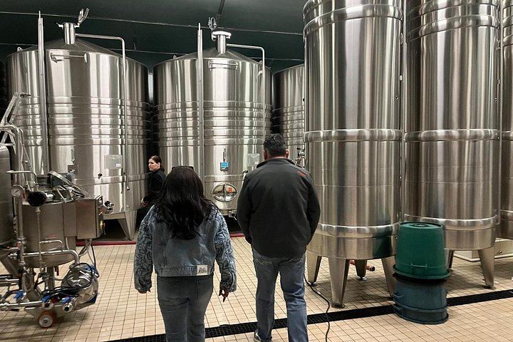 Épernay South Half-Day Tour: Voirin-Jumel in Cramant, Jean Milan in Oger, Hautvillers (3/12)
