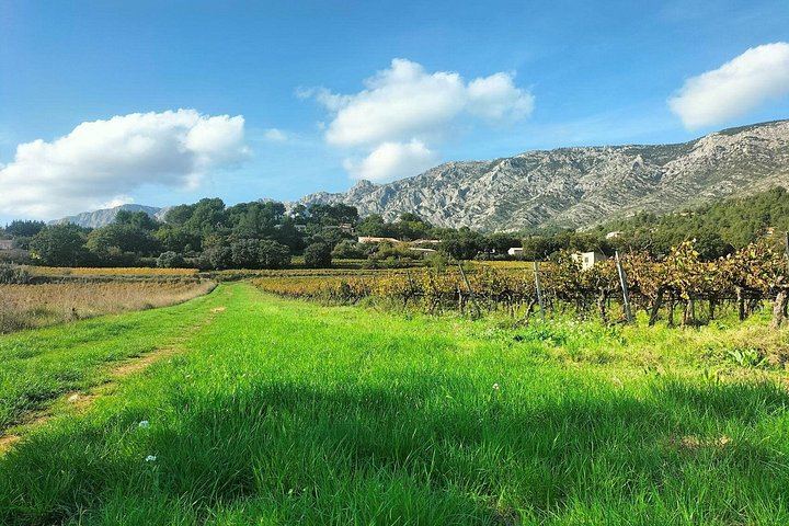 One Day in Provence: Vineyard Tasting, Puyloubier Pétanque Aperitif and Time in Aix (7/12)