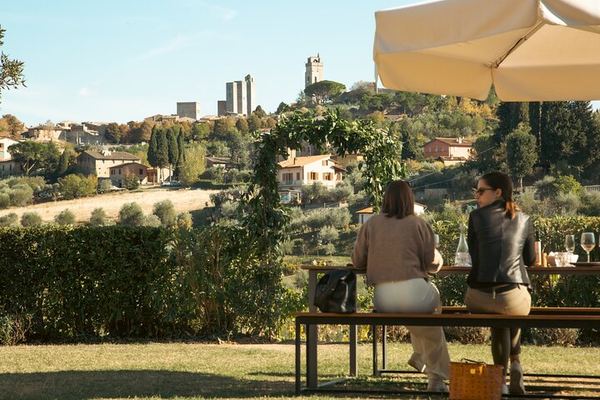 Private Organic Wine, Olive Oil and Balsamic Tasting on a San Gimignano Farm