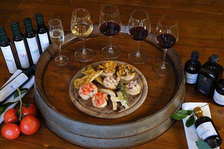 Private Organic Wine, Olive Oil and Balsamic Tasting on a San Gimignano Farm (1/5)