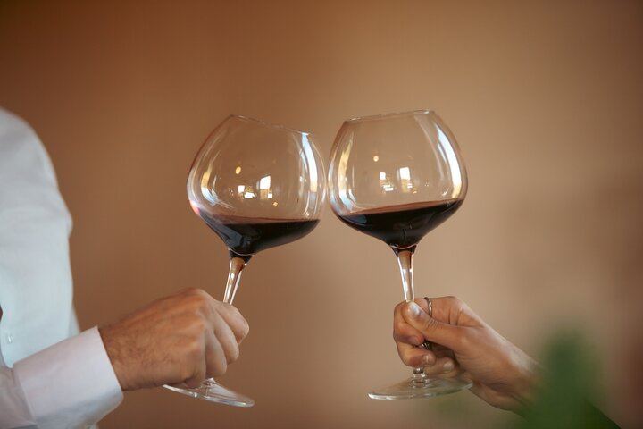 Private Organic Wine, Olive Oil and Balsamic Tasting on a San Gimignano Farm (2/5)