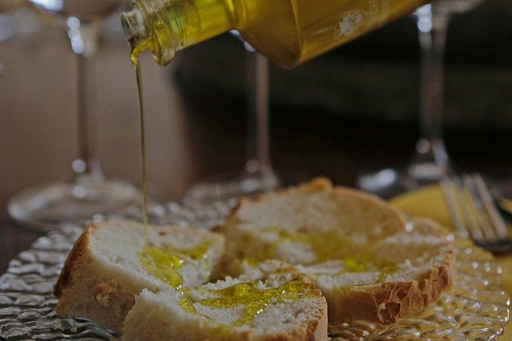 Private Organic Wine, Olive Oil and Balsamic Tasting on a San Gimignano Farm (5/5)