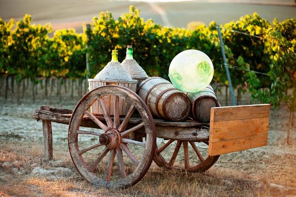 Chianti, Montalcino and Montepulciano by Minivan from Florence: Wine Tastings and Lunch