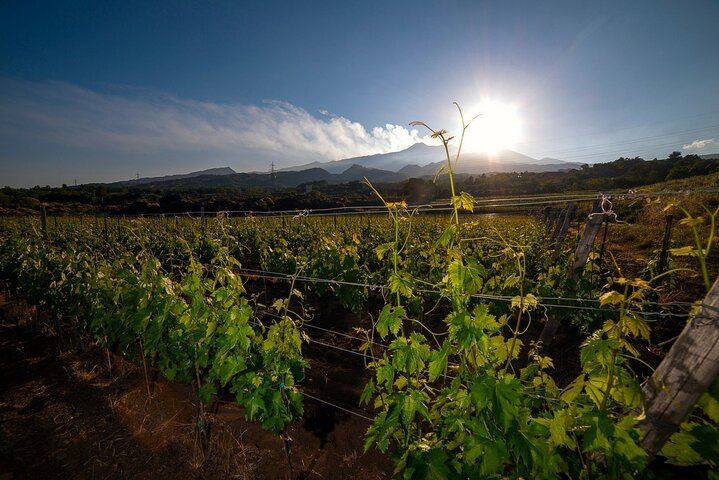 Etna Wine Tour: Monti Sartorius, Grotta dei Ladri and Gambino Winery Tasting (1/12)
