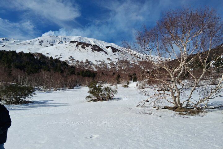 Etna Wine Tour: Monti Sartorius, Grotta dei Ladri and Gambino Winery Tasting (9/12)