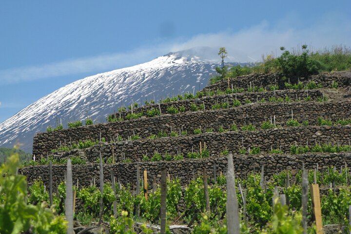Etna Wine Tour: Monti Sartorius, Grotta dei Ladri and Gambino Winery Tasting (8/12)