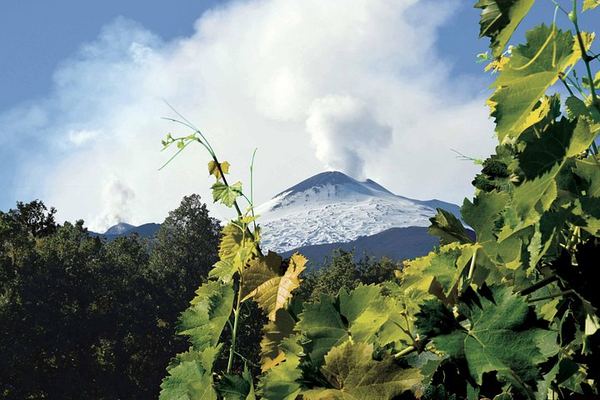 Etna Morning Tour from Catania: Lava Cave, Crater Trek, 1992 Lava Front and Winery Tasting