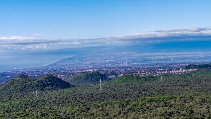 Etna Morning Tour from Catania: Lava Cave, Crater Trek, 1992 Lava Front and Winery Tasting (1/6)