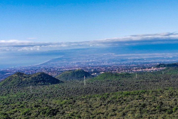 Etna Morning Tour from Catania: Lava Cave, Crater Trek, 1992 Lava Front and Winery Tasting (1/6)