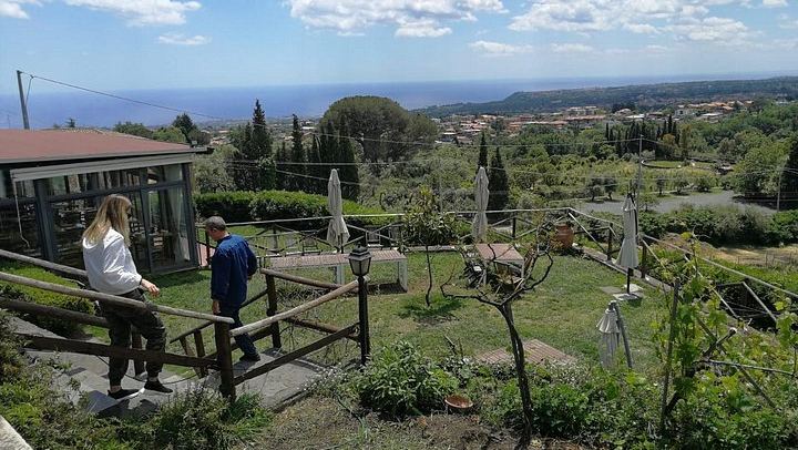Etna Morning Tour from Catania: Lava Cave, Crater Trek, 1992 Lava Front and Winery Tasting (4/6)