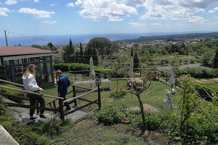 Etna Morning Tour from Catania: Lava Cave, Crater Trek, 1992 Lava Front and Winery Tasting (4/6)
