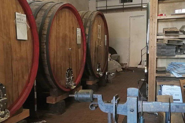 Etna Morning Tour from Catania: Lava Cave, Crater Trek, 1992 Lava Front and Winery Tasting (6/6)