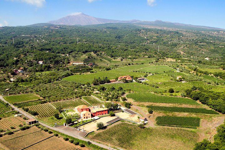 Scilio Family Winery, Linguaglossa: Etna DOC and Organic Wine Tasting, 1815 Cellar Tour (5/8)