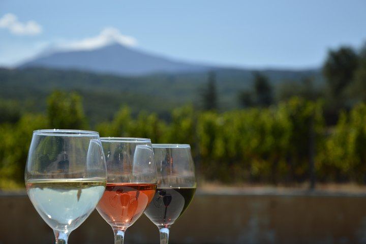 Scilio Family Winery, Linguaglossa: Etna DOC and Organic Wine Tasting, 1815 Cellar Tour (2/8)