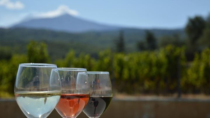 Scilio Family Winery, Linguaglossa: Etna DOC and Organic Wine Tasting, 1815 Cellar Tour (2/8)