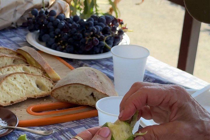 Etna Food and Wine Day with Local Family Producers, Taormina Area and Linguaglossa (9/11)