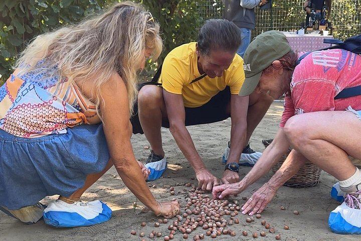 Etna Food and Wine Day with Local Family Producers, Taormina Area and Linguaglossa (10/11)