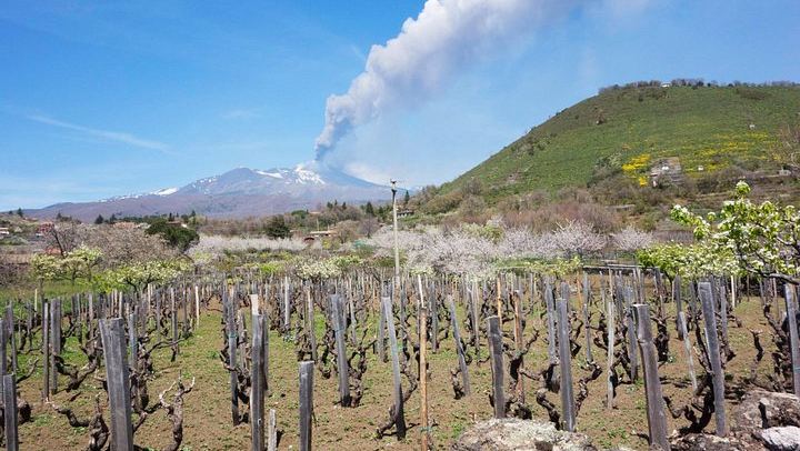 Private Etna Tour from Messina Cruise Terminal with Sartorius Craters and Winery Lunch (3/12)