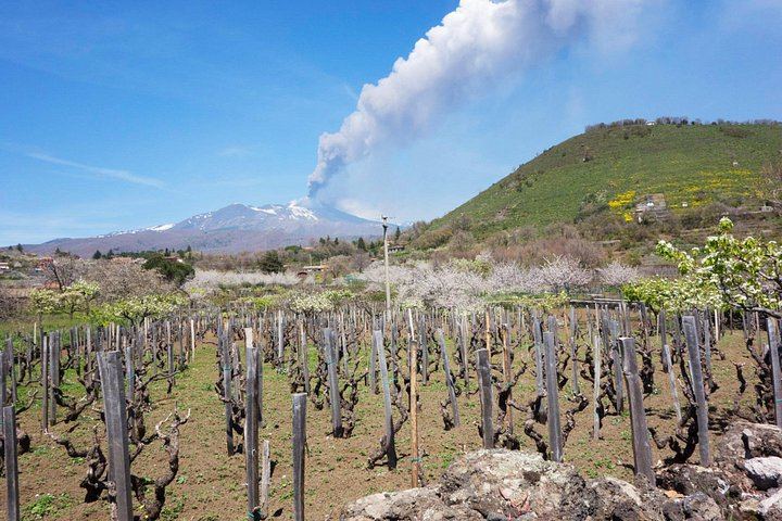 Private Etna Tour from Messina Cruise Terminal with Sartorius Craters and Winery Lunch (3/12)
