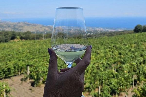 Private Etna Day Tour: Silvestri Craters, Honey Tasting and Winery Lunch with 4 Wines