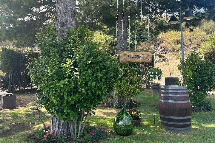 Private Etna Day Tour: Silvestri Craters, Honey Tasting and Winery Lunch with 4 Wines (9/12)