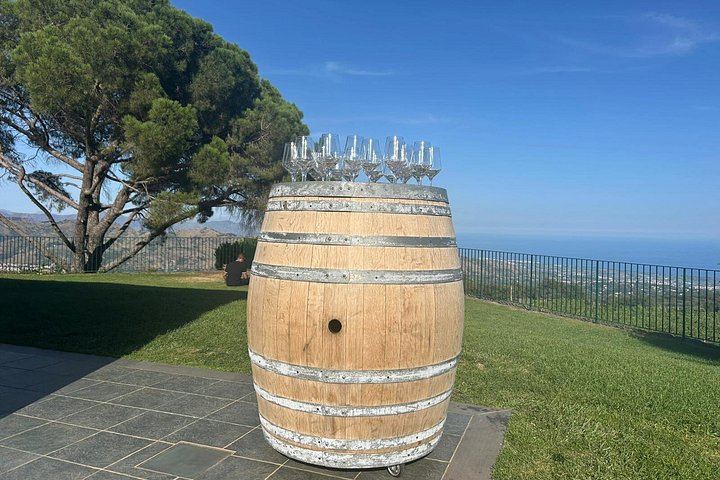 Private Etna Day Tour: Silvestri Craters, Honey Tasting and Winery Lunch with 4 Wines (6/12)