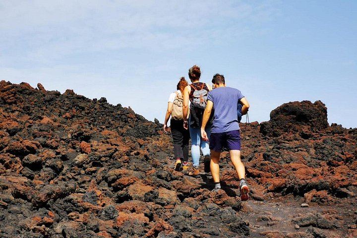 Etna Soft Trek with Lava Cave, Extinct Craters and Winery Lunch with Wine Tasting (2/5)