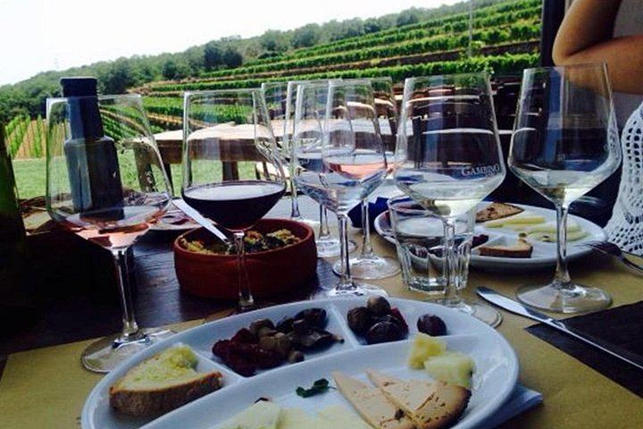 Etna Soft Trek with Lava Cave, Extinct Craters and Winery Lunch with Wine Tasting (5/5)