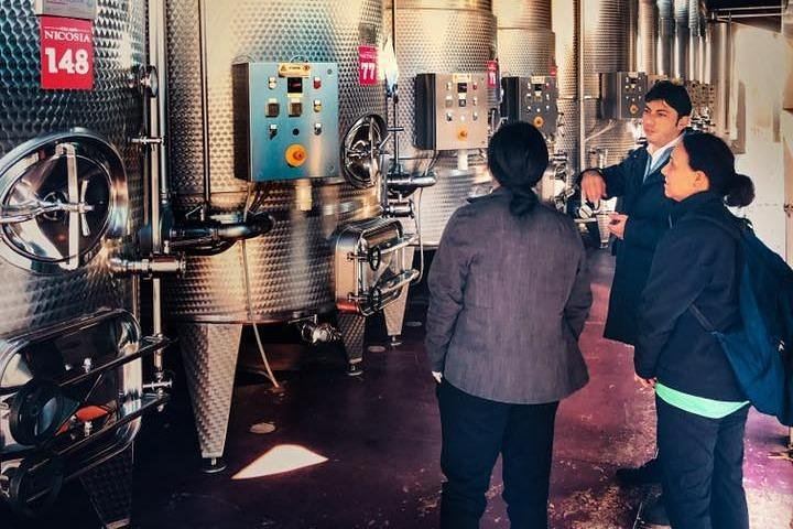 Private Etna Day by Travelosophy: Crater Walk, Wine Experience and Customizable Pick-up (10/12)