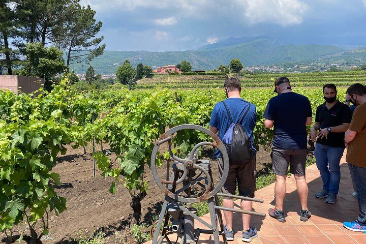 Private Etna Day by Travelosophy: Crater Walk, Wine Experience and Customizable Pick-up (12/12)