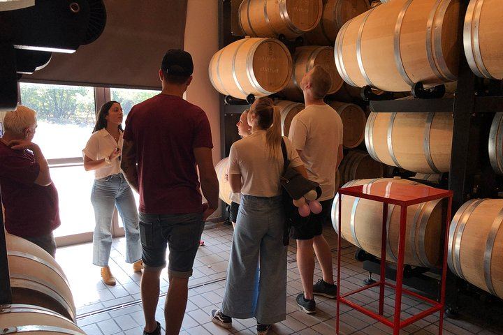 Private Etna Day by Travelosophy: Crater Walk, Wine Experience and Customizable Pick-up (4/12)