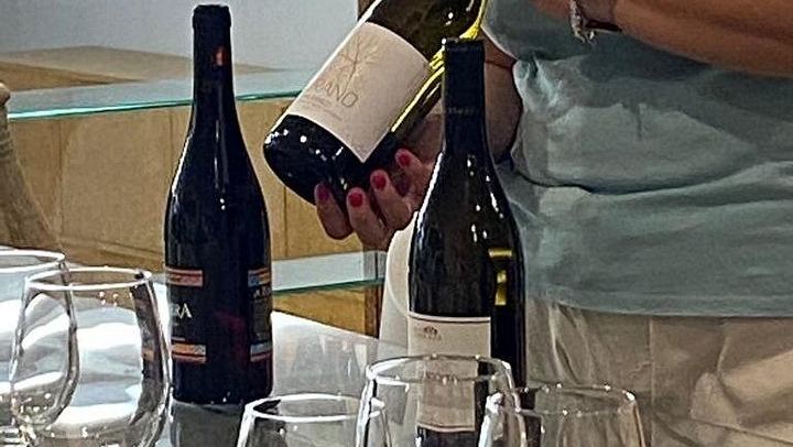 Small-Group Etna Tasting of Organic Wines and Extra Virgin Olive Oils from Small Producers (4/12)